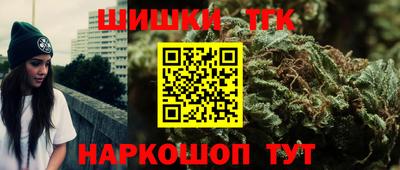 тгк Новозыбков