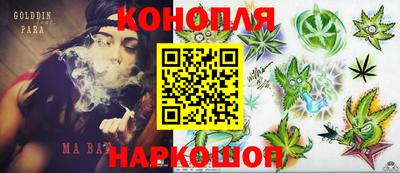 гидра Новодвинск